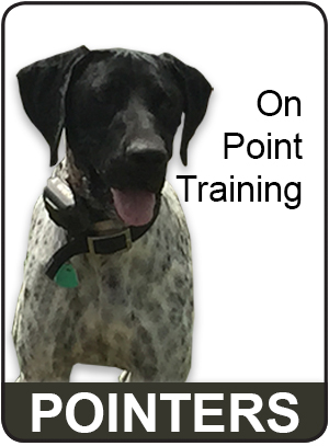 Pointer Training